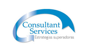 CONSULTANT SERVICE